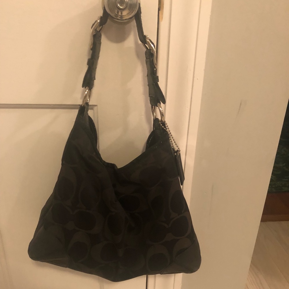 Large hobo w/ black snakeskin on sides & handle.